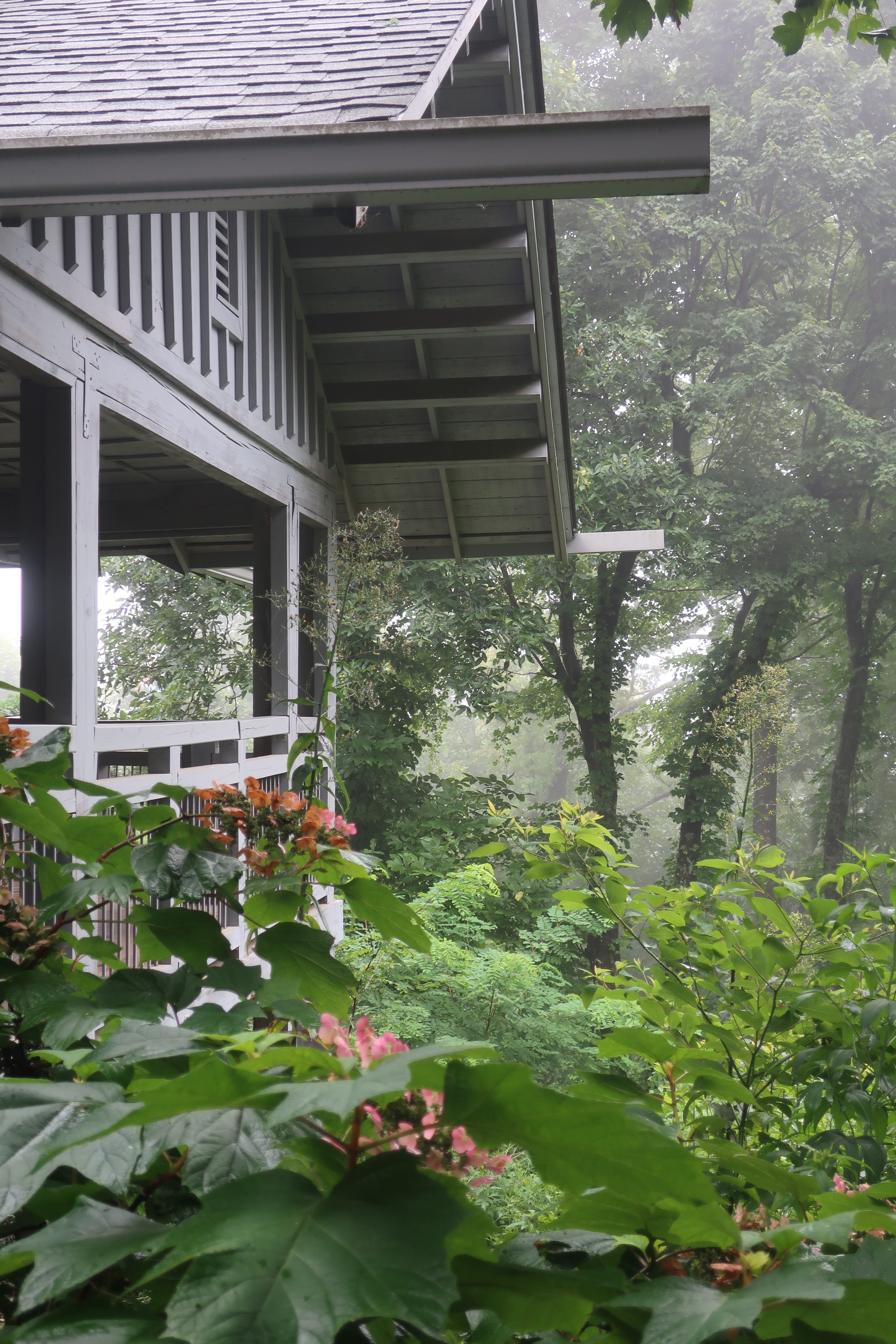 Hike Inn and My First Experience with Trail Magic